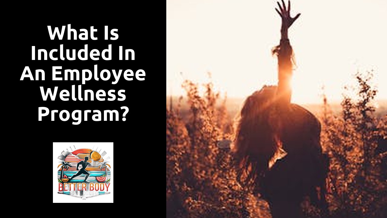 What is included in an employee wellness program?